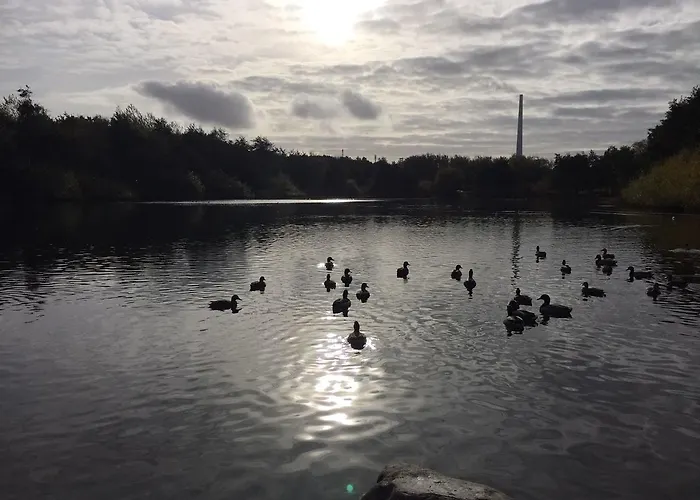 酒店 Justsleep 埃斯比约