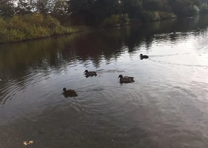 Justsleep 埃斯比约